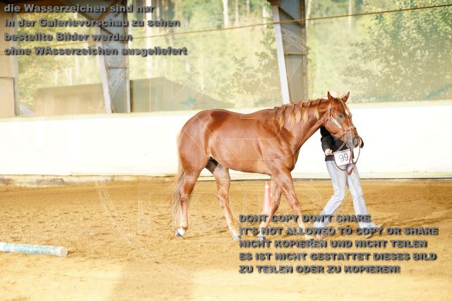 s_K3F07899.JPG